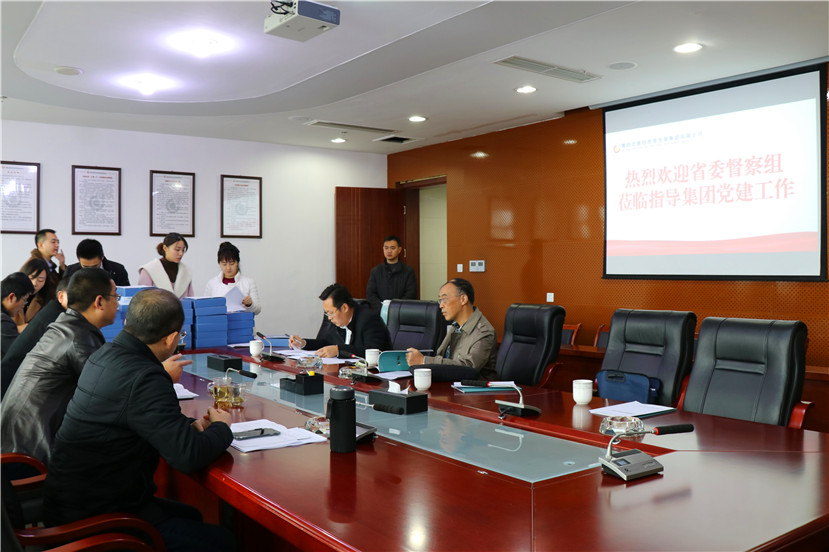 省委督察組到集團公司督導檢查黨建工作