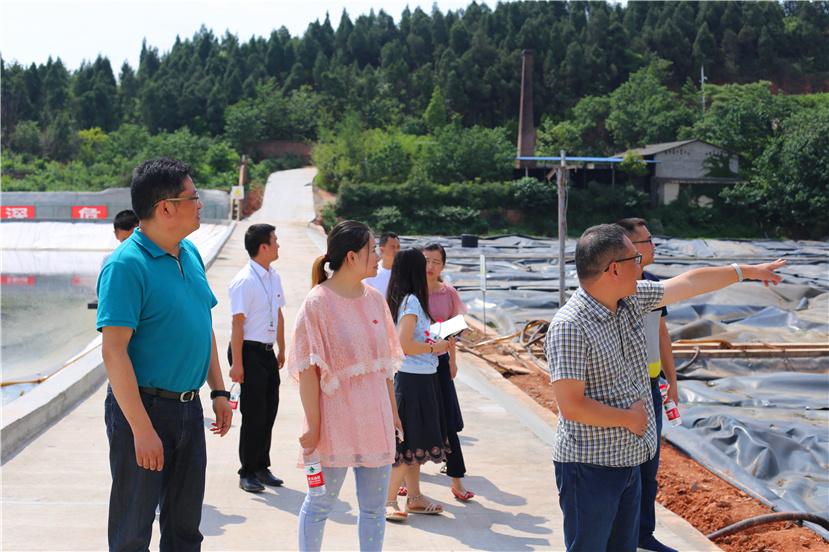 集團第一檢查組檢查杰陽排水公司、固廢處置公司安全防汛和環(huán)保達標(biāo)各項工作3_副本